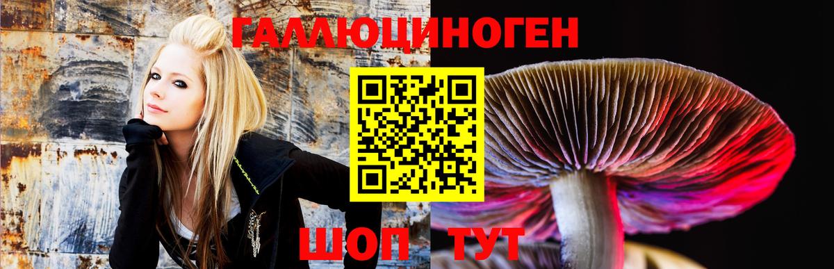 Асино  где купить   Вход с VPN  Галлюциногенные грибы ЛСД  Псилоцибиновые грибы Cubensis 